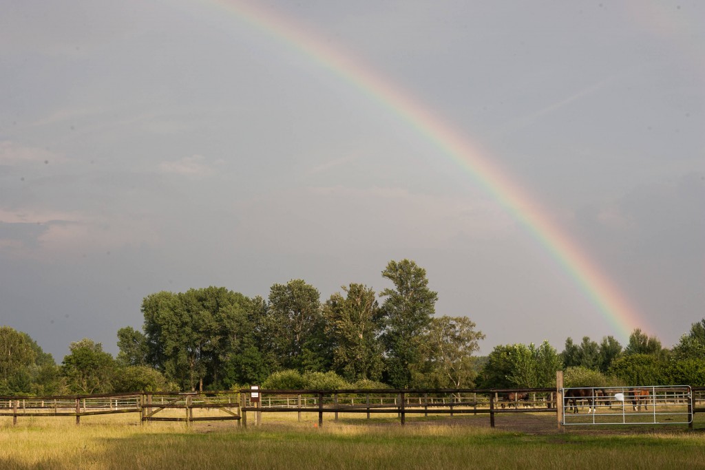 biak-regenbogen