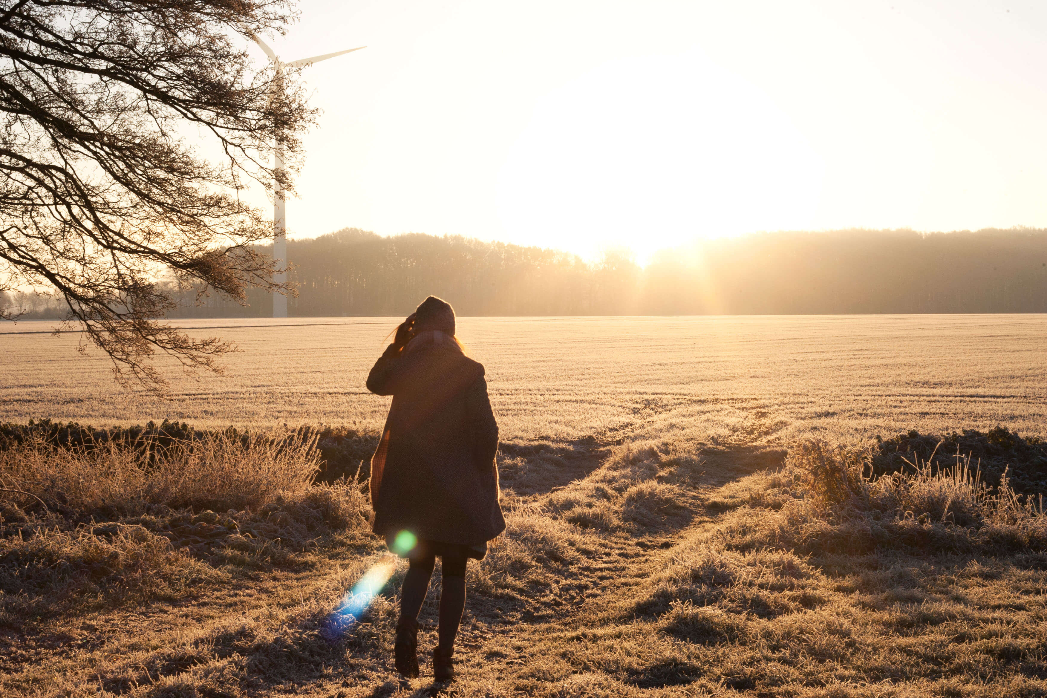 Hobo Schuh Shooting Wintermorgen Pferdewiese